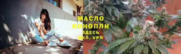 дмт Алексин