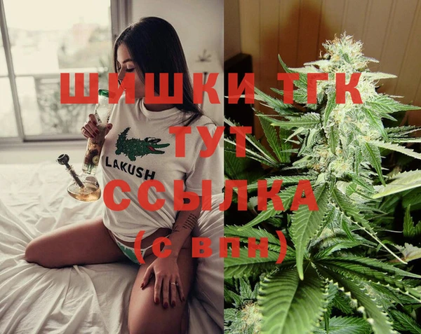 дмт Алексин