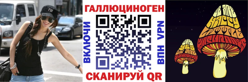 Псилоцибиновые грибы Cubensis  Котельники 