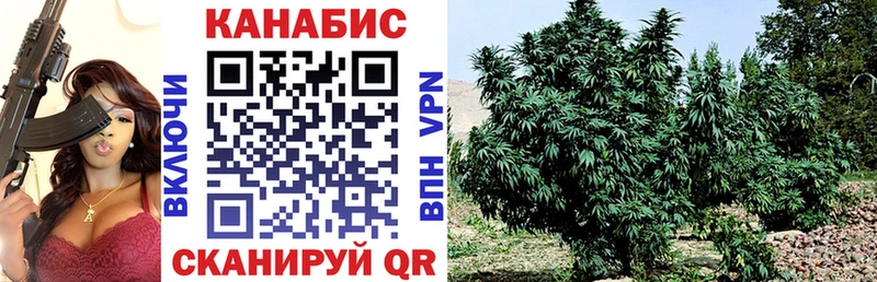 Каннабис планчик hydra как зайти Котельники